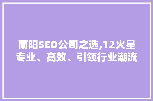 南阳SEO公司之选,12火星专业、高效、引领行业潮流