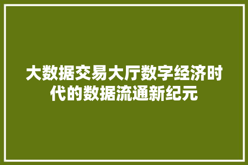 大数据交易大厅数字经济时代的数据流通新纪元