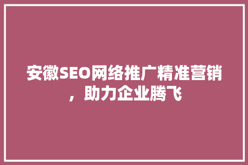 安徽SEO网络推广精准营销，助力企业腾飞