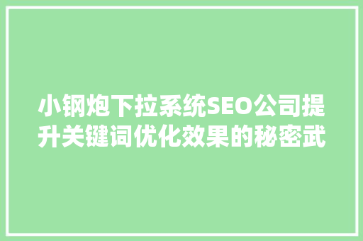 小钢炮下拉系统SEO公司提升关键词优化效果的秘密武器
