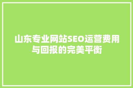 山东专业网站SEO运营费用与回报的完美平衡