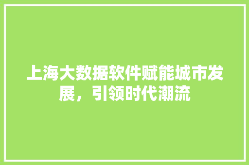 上海大数据软件赋能城市发展，引领时代潮流