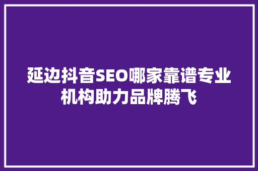 延边抖音SEO哪家靠谱专业机构助力品牌腾飞