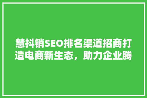 慧抖销SEO排名渠道招商打造电商新生态，助力企业腾飞