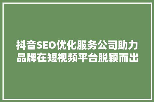 抖音SEO优化服务公司助力品牌在短视频平台脱颖而出