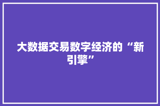 大数据交易数字经济的“新引擎”