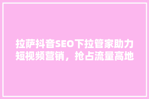拉萨抖音SEO下拉管家助力短视频营销，抢占流量高地