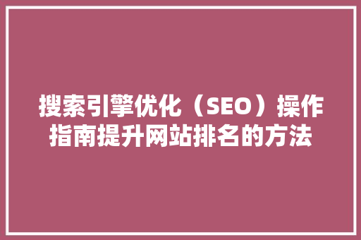 搜索引擎优化（SEO）操作指南提升网站排名的方法