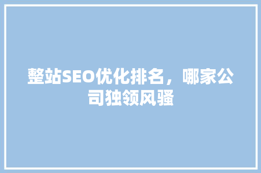整站SEO优化排名，哪家公司独领风骚