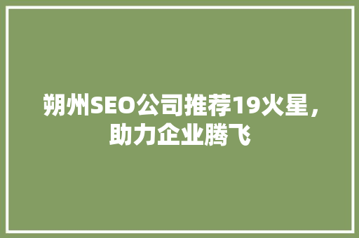 朔州SEO公司推荐19火星，助力企业腾飞