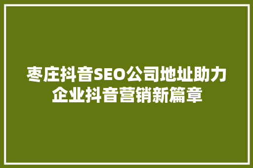 枣庄抖音SEO公司地址助力企业抖音营销新篇章