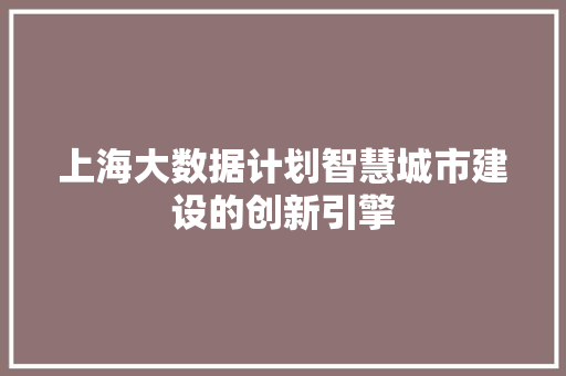 上海大数据计划智慧城市建设的创新引擎