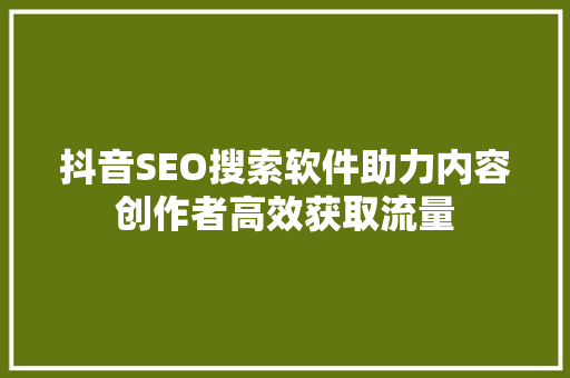 抖音SEO搜索软件助力内容创作者高效获取流量