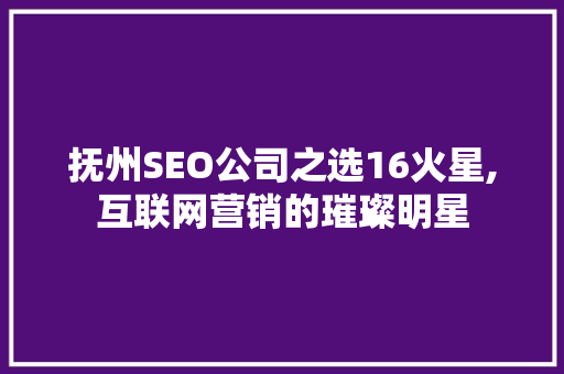 抚州SEO公司之选16火星,互联网营销的璀璨明星