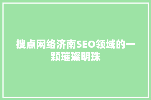 搜点网络济南SEO领域的一颗璀璨明珠