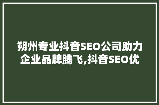 朔州专业抖音SEO公司助力企业品牌腾飞,抖音SEO优化之路