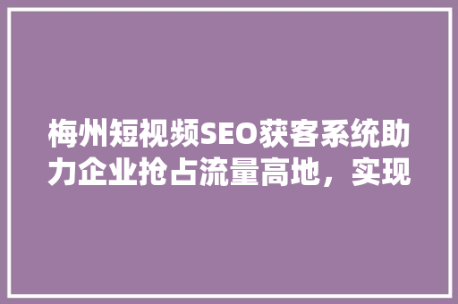 梅州短视频SEO获客系统助力企业抢占流量高地，实现精准营销