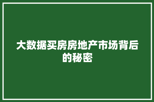 大数据买房房地产市场背后的秘密  第1张