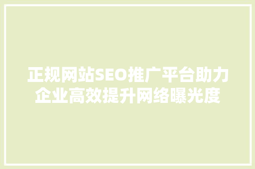 正规网站SEO推广平台助力企业高效提升网络曝光度