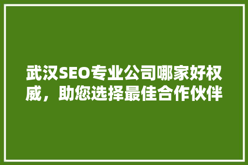 武汉SEO专业公司哪家好权威，助您选择最佳合作伙伴