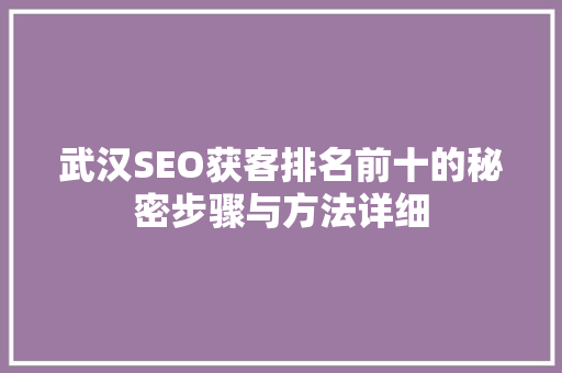 武汉SEO获客排名前十的秘密步骤与方法详细