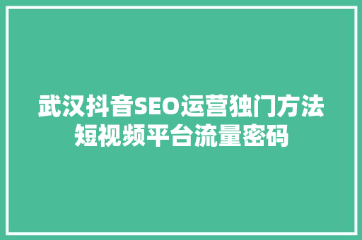 武汉抖音SEO运营独门方法短视频平台流量密码