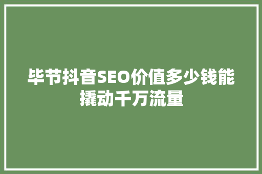 毕节抖音SEO价值多少钱能撬动千万流量