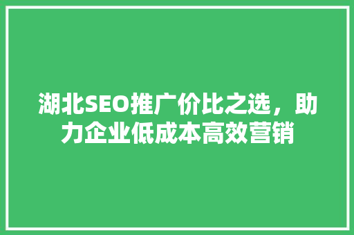 湖北SEO推广价比之选，助力企业低成本高效营销