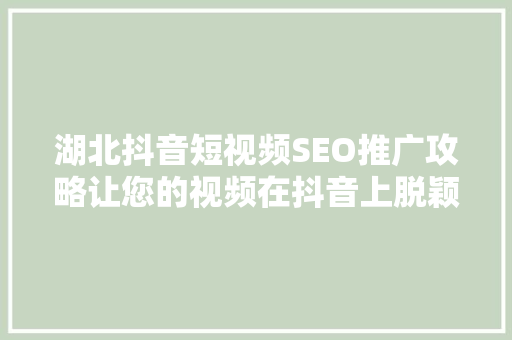 湖北抖音短视频SEO推广攻略让您的视频在抖音上脱颖而出