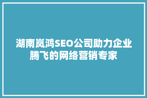 湖南岚鸿SEO公司助力企业腾飞的网络营销专家