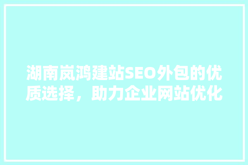 湖南岚鸿建站SEO外包的优质选择，助力企业网站优化升级