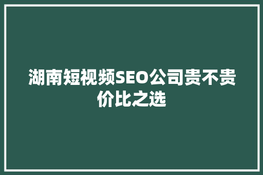 湖南短视频SEO公司贵不贵价比之选
