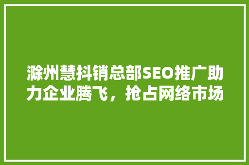 滁州慧抖销总部SEO推广助力企业腾飞，抢占网络市场制高点