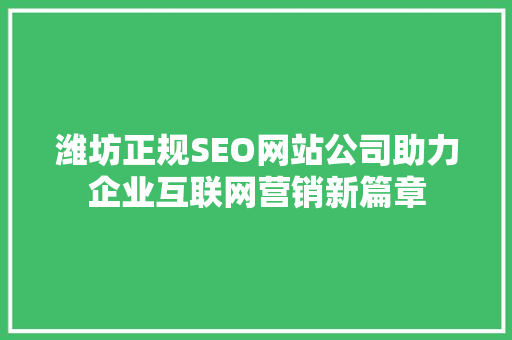 潍坊正规SEO网站公司助力企业互联网营销新篇章
