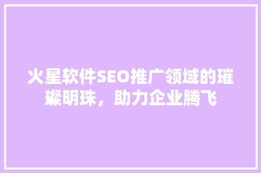 火星软件SEO推广领域的璀璨明珠，助力企业腾飞