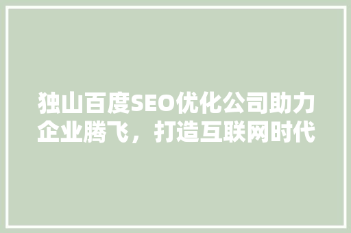 独山百度SEO优化公司助力企业腾飞，打造互联网时代核心竞争力