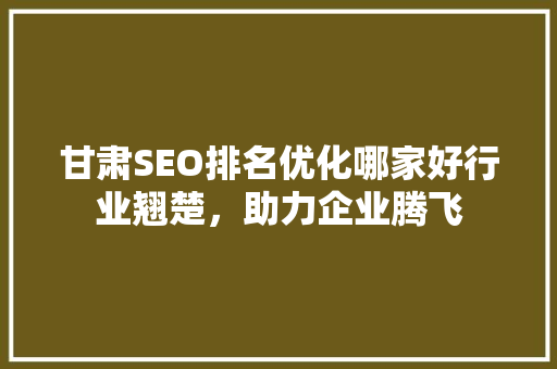 甘肃SEO排名优化哪家好行业翘楚，助力企业腾飞