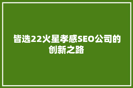 皆选22火星孝感SEO公司的创新之路