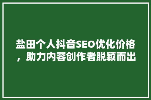 盐田个人抖音SEO优化价格，助力内容创作者脱颖而出