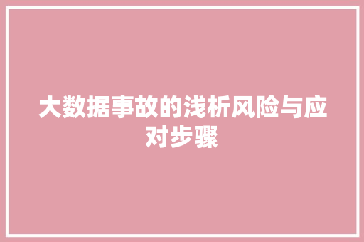 大数据事故的浅析风险与应对步骤  第1张