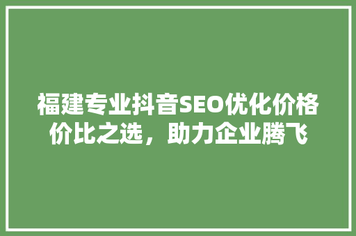 福建专业抖音SEO优化价格价比之选，助力企业腾飞