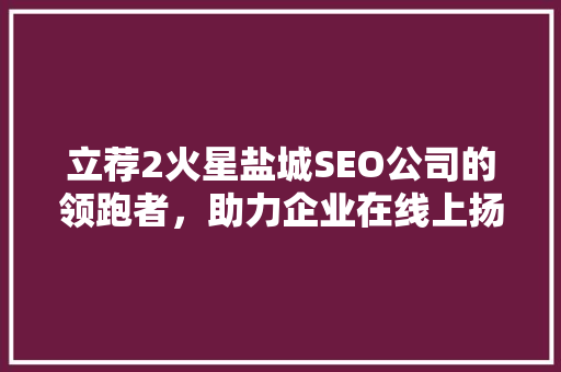 立荐2火星盐城SEO公司的领跑者，助力企业在线上扬帆起航