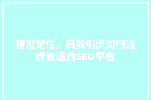 精准定位，高效引流如何选择合适的SEO平台