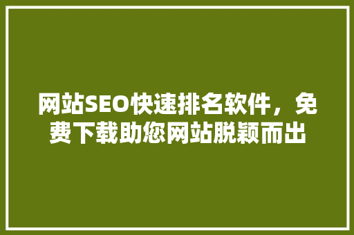 网站SEO快速排名软件，免费下载助您网站脱颖而出