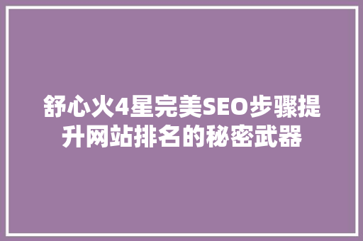 舒心火4星完美SEO步骤提升网站排名的秘密武器