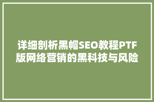 详细剖析黑帽SEO教程PTF版网络营销的黑科技与风险