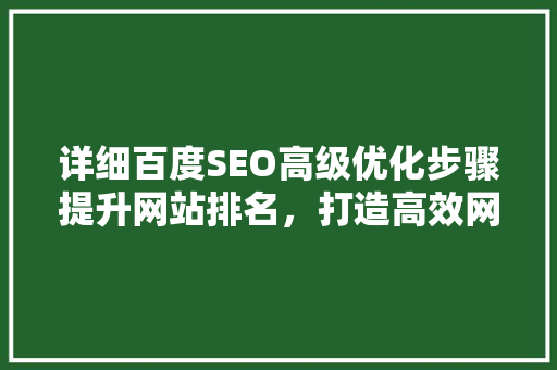 详细百度SEO高级优化步骤提升网站排名，打造高效网络营销