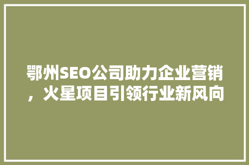 鄂州SEO公司助力企业营销，火星项目引领行业新风向