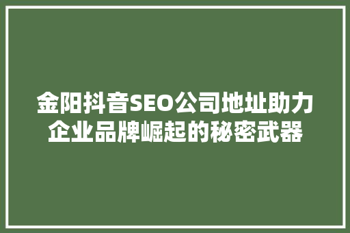 金阳抖音SEO公司地址助力企业品牌崛起的秘密武器