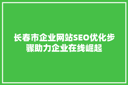 长春市企业网站SEO优化步骤助力企业在线崛起  第1张